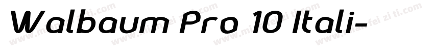 Walbaum Pro 10 Itali字体转换